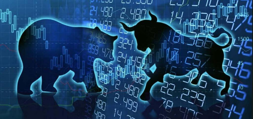 difference between bull bear market